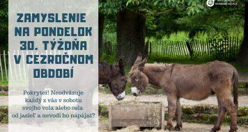 ZAMYSLENIE NA PONDELOK 30. TÝŽDŇA V CEZROČNOM OBDOBÍ