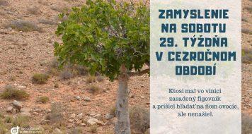 ZAMYSLENIE NA SOBOTU 29. TÝŽDŇA V CEZROČNOM OBDOBÍ