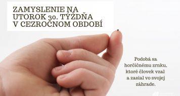ZAMYSLENIE NA UTOROK 30. TÝŽDŇA V CEZROČNOM OBDOBÍ