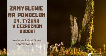 ZAMYSLENIE NA PONDELOK 34. TÝŽDŇA V CEZROČNOM OBDOBÍ