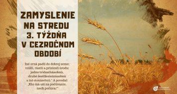 ZAMYSLENIE NA STREDU 3. TÝŽDŇA V CEZROČNOM OBDOBÍ