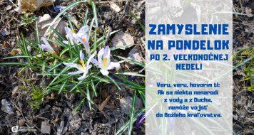 ZAMYSLENIE NA PONDELOK PO 2. VEĽKONOČNEJ NEDELI