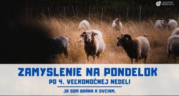 ZAMYSLENIE NA PONDELOK PO 4. VEĽKONOČNEJ NEDELI
