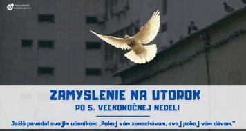 ZAMYSLENIE NA UTOROK PO 5. VEĽKONOČNEJ NEDELI