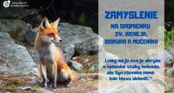 ZAMYSLENIE NA SPOMIENKU SV. IRENEJA, BISKUPA A MUČENÍKA
