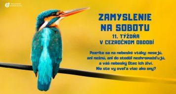 ZAMYSLENIE NA SOBOTU 11. TÝŽDŇA V CEZROČNOM OBDOBÍ