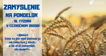 ZAMYSLENIE NA PONDELOK 18. TÝŽDŇA V CEZROČNOM OBDOBÍ