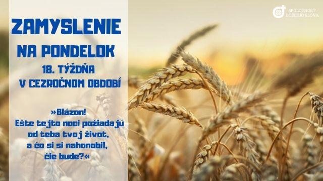 ZAMYSLENIE NA PONDELOK 18. TÝŽDŇA V CEZROČNOM OBDOBÍ