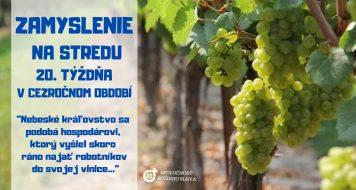 ZAMYSLENIE NA STREDU 20. TÝŽDŇA V CEZROČNOM OBDOBÍ