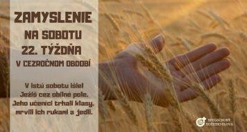 ZAMYSLENIE NA SOBOTU 22. TÝŽDŇA V CEZROČNOM OBDOBÍ