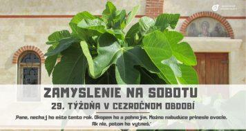 ZAMYSLENIE NA SOBOTU 29. TÝŽDŇA V CEZROČNOM OBDOBÍ