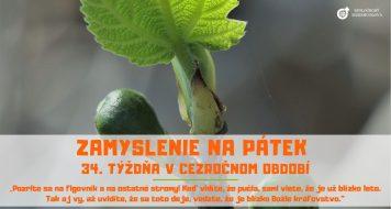 ZAMYSLENIE NA PIATOK 34. TÝŽDŇA V CEZROČNOM OBDOBÍ