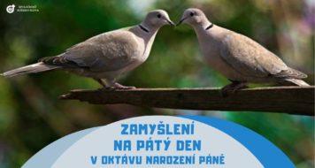 <strong>ZAMYŠLENÍ NA PÁTÝ DEN V OKTÁVU NAROZENÍ PÁNĚ</strong>