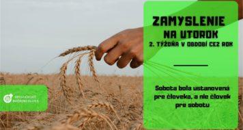 ZAMYSLENIE NA UTOROK 2. TÝŽDŇA V CEZROČNOM OBDOBÍ