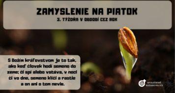 ZAMYSLENIE NA PIATOK 3. TÝŽDŇA V CEZROČNOM OBDOBÍ