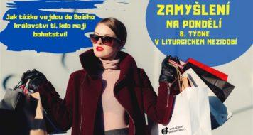 ZAMYŠLENÍ NA PONDĚLÍ 8. TÝDNE V MEZIDOBÍ