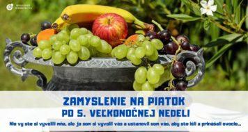 ZAMYSLENIE NA PIATOK PO 5. VEĽKONOČNEJ NEDELI