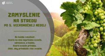 ZAMYSLENIE NA STREDU PO 5. VEL’KONOČNEJ NEDELI