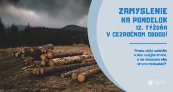 ZAMYSLENIE NA PONDELOK 12. TÝŽDŇA V CEZROČNOM OBDOBÍ