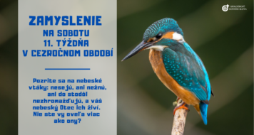 ZAMYSLENIE NA SOBOTU 11. TÝŽDŇA V CEZROČNOM OBDOBÍ