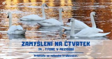 ZAMYŠLENÍ NA ČTVRTEK 14. TÝDNE V MEZIDOBÍ