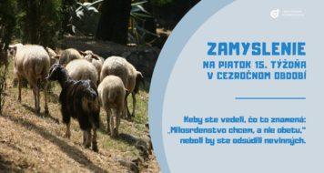 ZAMYSLENIE NA PIATOK 15. TÝŽDŇA V CEZROČNOM OBDOBÍ