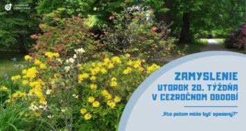 ZAMYSLENIE NA UTOROK 20. TÝŽDŇA V CEZROČNOM OBDOBÍ