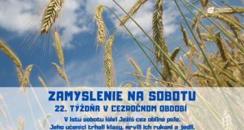 ZAMYSLENIE NA SOBOTU 22. TÝŽDŇA V CEZROČNOM OBDOBÍ