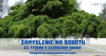 ZAMYSLENIE NA SOBOTU 23. TÝŽDŇA V CEZROČNOM OBDOBÍ