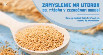 ZAMYSLENIE NA UTOROK 30. TÝŽDŇA V OBDOBÍ CEZ ROK 