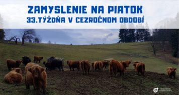 ZAMYSLENIE NA PIATOK 33. TÝŽDŇA V CEZROČNOM OBDOBÍ