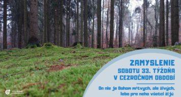 ZAMYSLENIE NA SOBOTU 33. TÝŽDŇA V CEZROČNOM OBDOBÍ