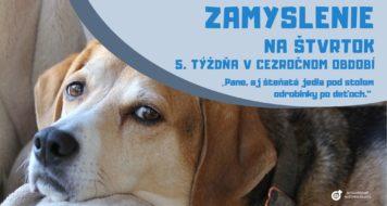<strong>ZAMYSLENIE NA ŠTVRTOK 5. TÝŽDŇA V CEZROČNOM OBDOBÍ</strong>