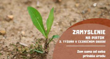 ZAMYSLENIE NA PIATOK 3.TÝŽDŇA V CEZROČNOM OBDOBÍ