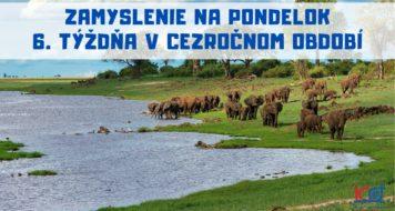 ZAMYSLENIE NA PONDELOK 6. TÝŽDŇA V CEZROČNOM OBDOBÍ