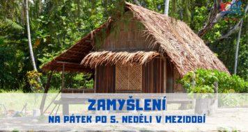 <strong>ZAMYŠLENÍ NA PÁTEK PO 5. NEDĚLI V MEZIDOBÍ</strong>