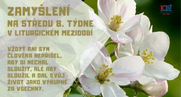ZAMYŠLENÍ NA STŘEDU 8. TÝDNE V LITURGICKÉM MEZIDOBÍ