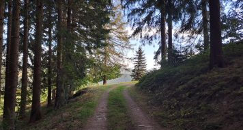 ZAMYSLENIE NA UTOROK 27. TÝŽDŇA V CEZROČNOM OBDOBÍ