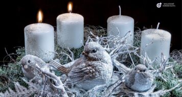 ZAMYSLENIE NA UTOROK PO DRUHEJ ADVENTNEJ NEDELI