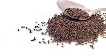 ZAMYSLENIE NA PONDELOK 17. TÝŽDŇA V CEZROČNOM OBDOBÍ