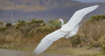 ZAMYSLENIE NA PIATOK 20. TÝŽDŇA V CEZROČNOM OBDOBÍ  