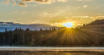 ZAMYŠLENÍ NA PAMÁTKU SV. ALBERTA VELIKÉHO, BISKUPA A UČITELE CÍRKVE