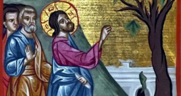 ZAMYŠLENÍ NA SOBOTU 29. TÝDNE V MEZIDOBÍ