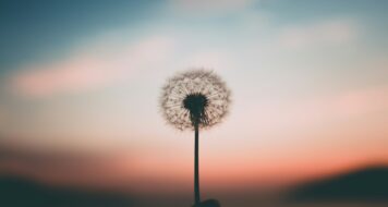 ZAMYSLENIE NA 33. NEDEĽU V CEZROČNOM OBDOBÍ