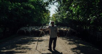 ZAMYSLENIE NA ŠTVRTOK 31. TÝŽDŇA V CEZROČNOM OBDOBÍ