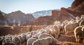 ZAMYSLENIE NA SPOMIENKU NA SV. KAROLA BOROMEJSKÉHO