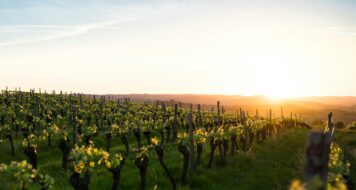 ZAMYSLENIE NA PIATOK PO DRUHEJ PÔSTNEJ NEDELI 