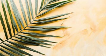 ZAMYSLENIE NA PALMOVÚ NEDEĽU