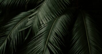 CESTA POKORY, KTORÁ VEĎIE K SLÁVE