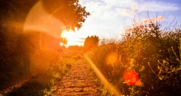 SMRŤ NEMÁ POSLEDNÉ SLOVO